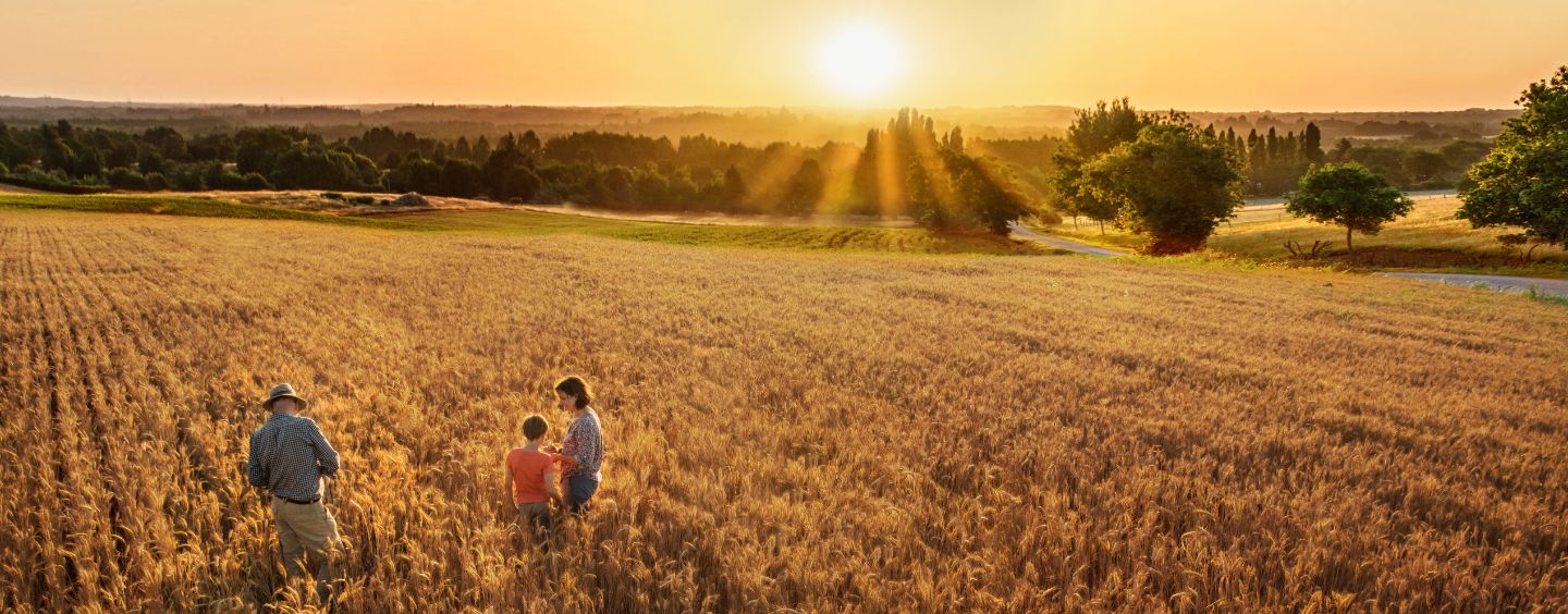 a family walking through a field