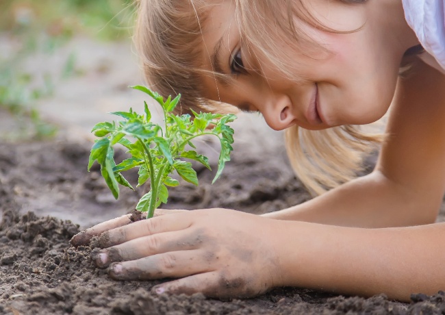 young girl putting a plant in the dirt